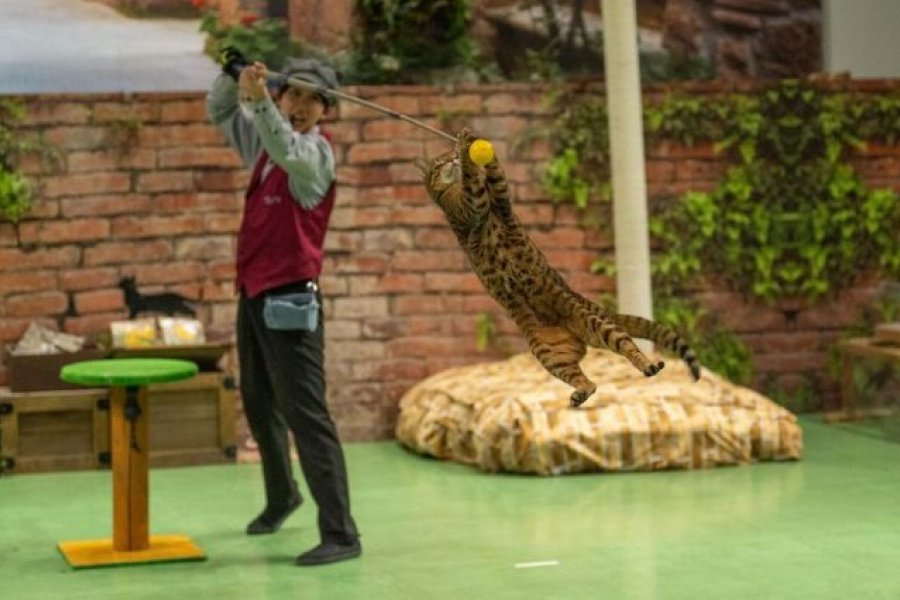 那須どうぶつ王国