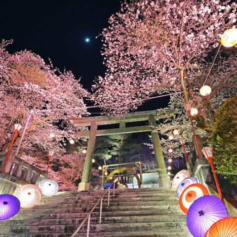 鬼怒川温泉 夜桜ライトアップ 鬼怒川万華郷